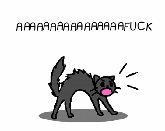 THIS CAT SAYS FUCK Image