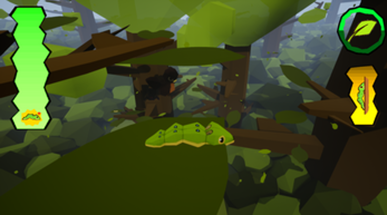 Finding Flora screenshot