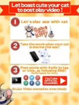 Game like a kitty -Mouse Tapping Game 2 Image