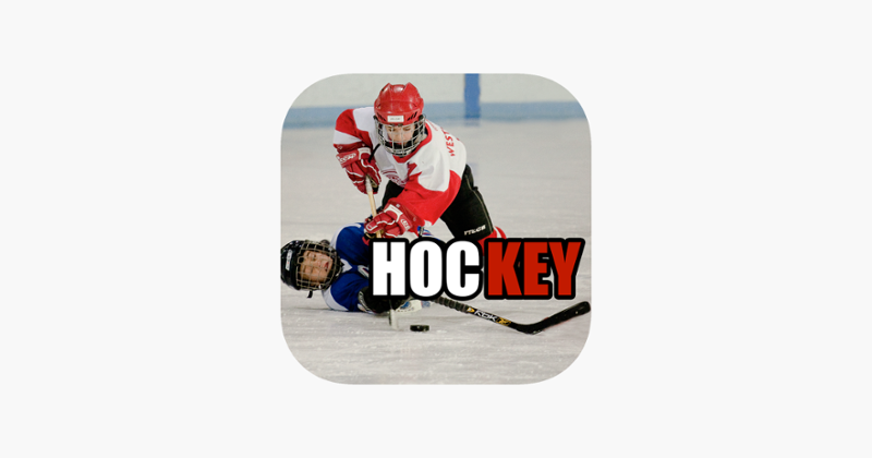 Hockey Trivia App Image