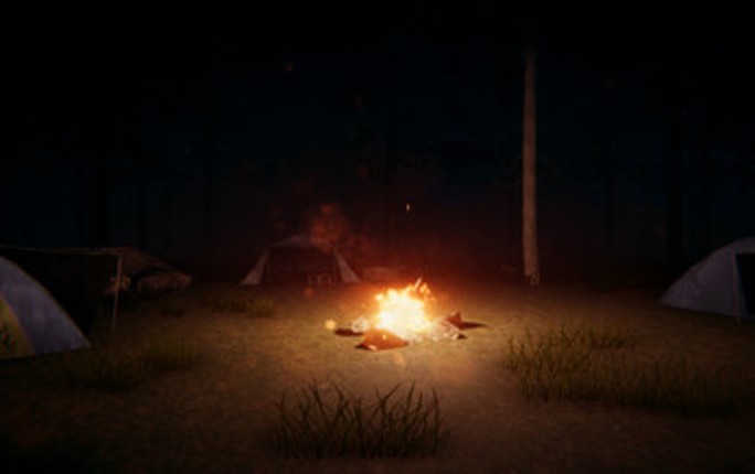 In The Woods Image