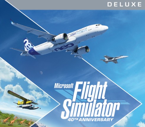 Microsoft Flight Simulator Image