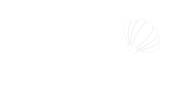 Shore Sweepers Image