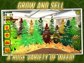 Weed Shop The Game Image