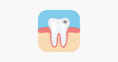 Dental Anatomy Quizzes Image