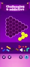 Hexa Puzzle Hero Image