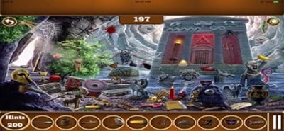 Hidden Objects : Mystery Case Image