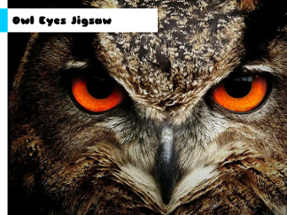 Owl Eyes Jigsaw Image