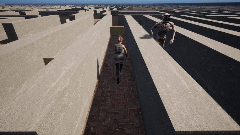 Maze escape screenshot