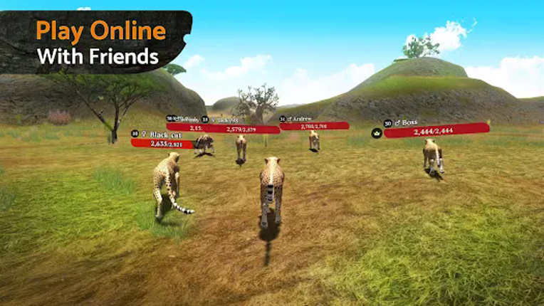 The Cheetah screenshot