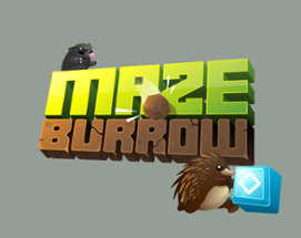 Maze Burrow Image