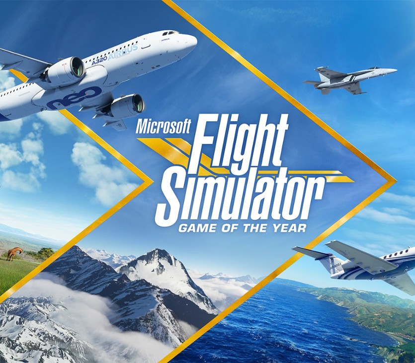 Games like Microsoft Flight Simulator
