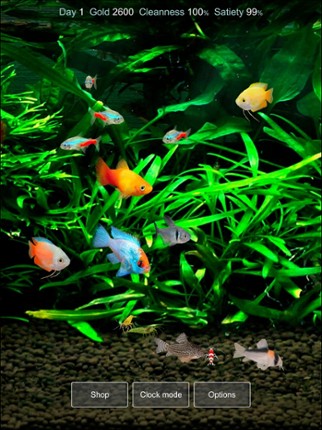 Tropical Fish Tank - Mini Aqua screenshot