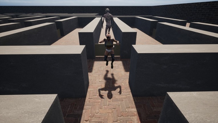 Maze escape screenshot