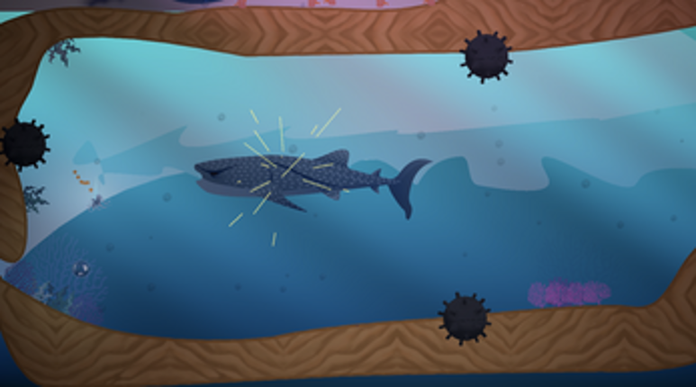 Bubble & Jelly Image