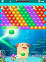 Bubble Shooter Dog Classic Image