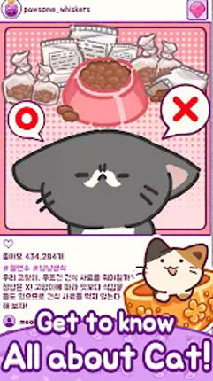 Meow Meow Foster: Merge&Story Image