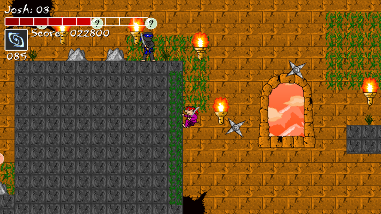 Ninja Force Image