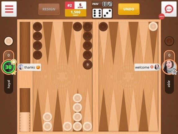 Backgammon - Online screenshot