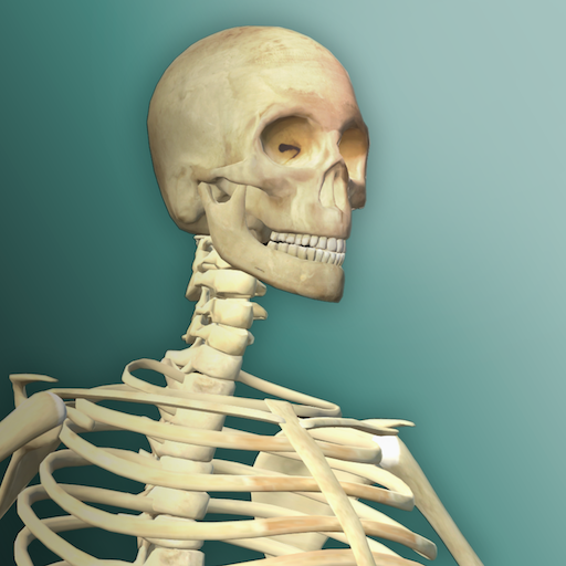 Games like Idle Human 2