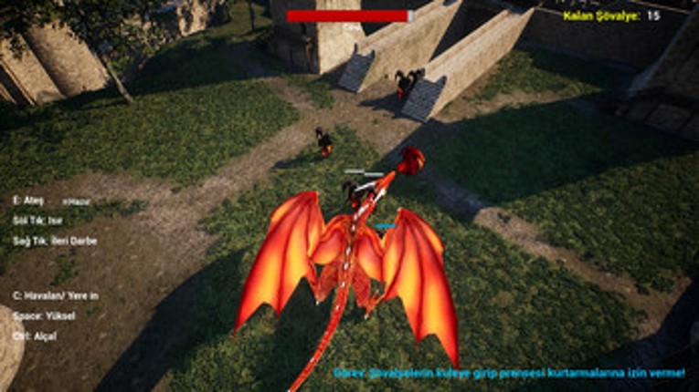 Guarding Fire Image