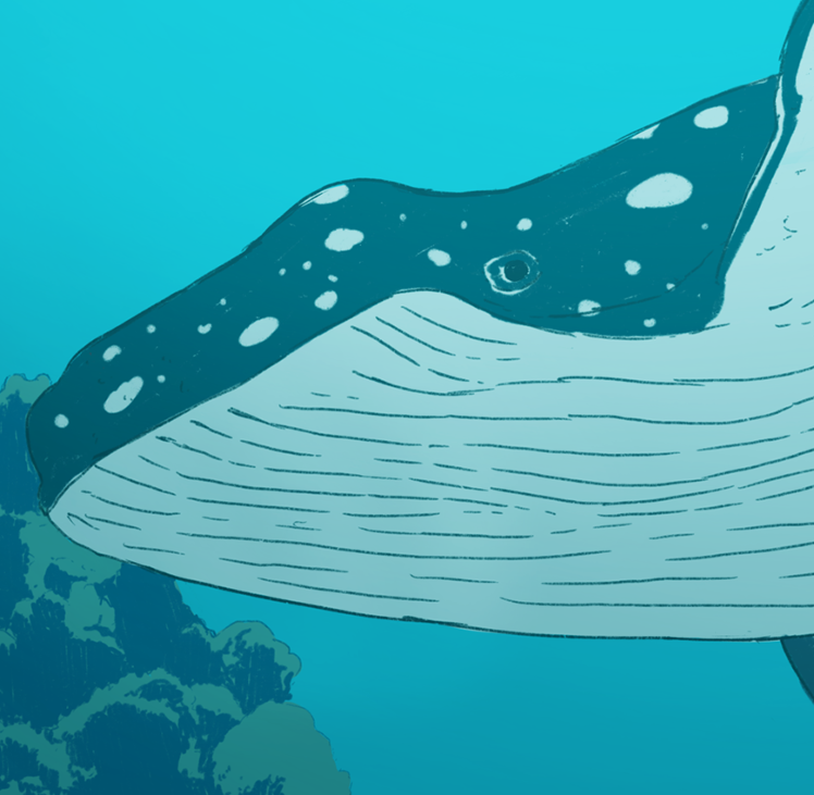 Games like Vacuum Balaena