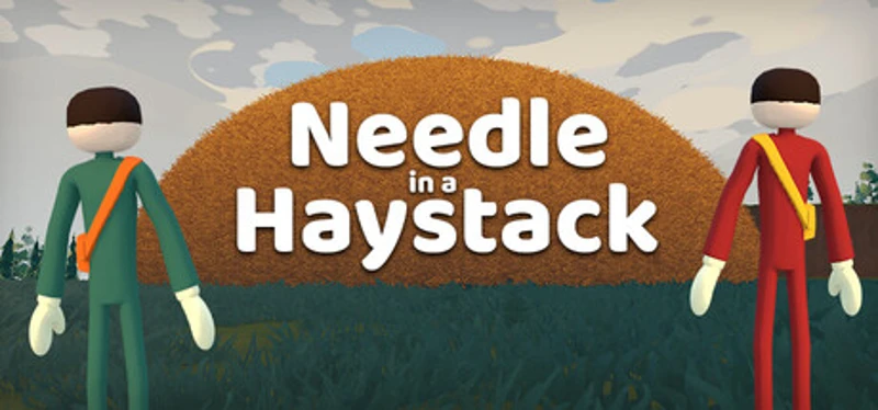 Needle in a Haystack Image