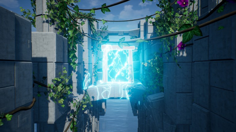 Reflection Image