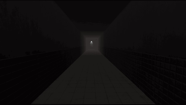 THE PROJECT Image