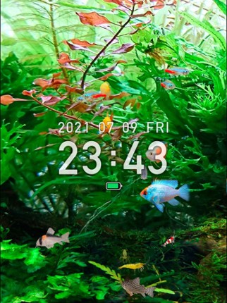 Tropical Fish Tank - Mini Aqua Image