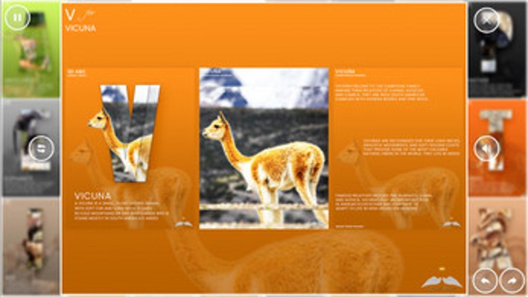 Aberiel 3D Animal Picture Dictionary Image