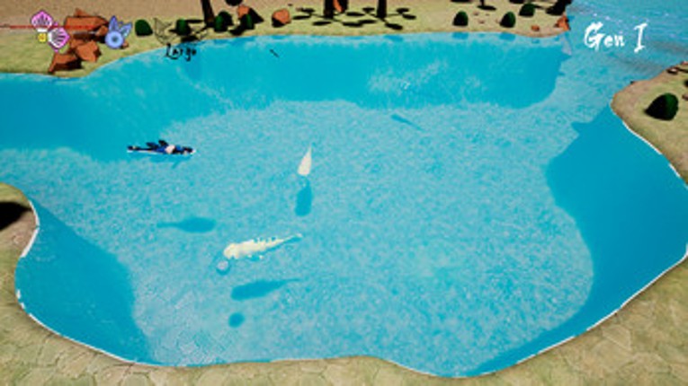 KOI Image