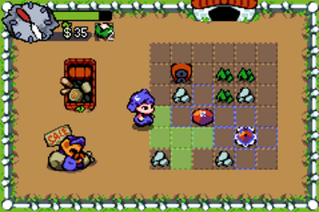 Small Plot Agriculture Image
