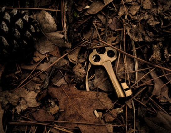 What Happened To This World? Image