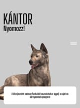 Kántor nyomozz! Image