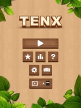 TENX - Wooden Number Puzzle Image