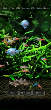 Tropical Fish Tank - Mini Aqua screenshot