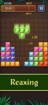 Block Puzzle Jewel World Image