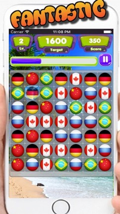 Flag Match Puzzle Image