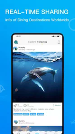 Dive+ : Diving Community Image