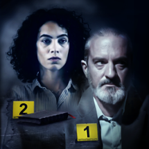 French Crime: Detective game Image