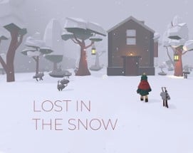 Lost in the snow Image