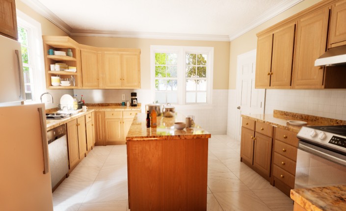 Life Overhaul screenshot