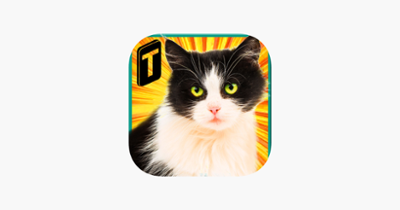 Street Cat Sim 2016 Image