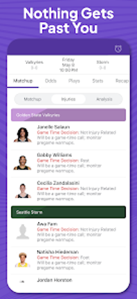 Superfan: WNBA Basketball Image