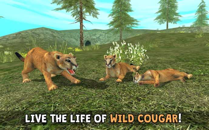 Wild Cougar Sim 3D Image
