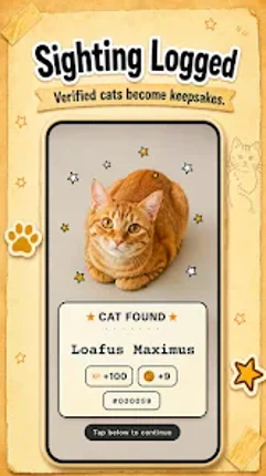 CatchCat Image