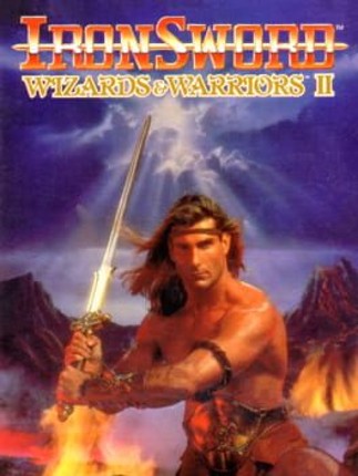Ironsword: Wizards & Warriors II Game Cover
