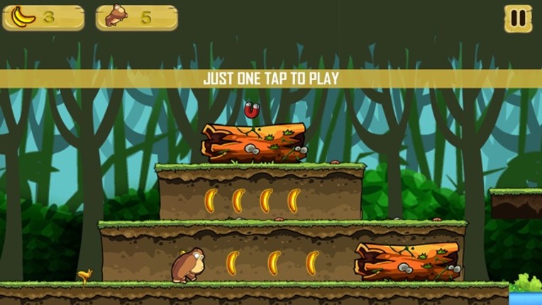 Kong World Adventures Image