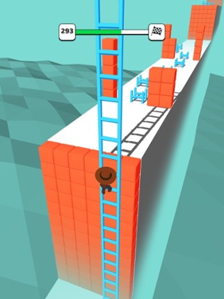 Ladder Run 3D Image